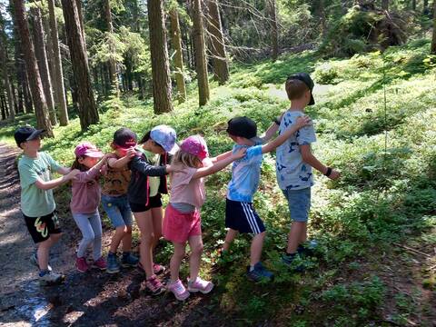 wald.woche pfalzen 6-10 jahre