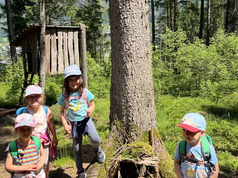 wald.woche pfalzen 3-5 jahre